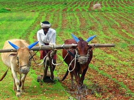 कम बारिश के कारण खरीफ फसलों की बोवनी पिछड़ी